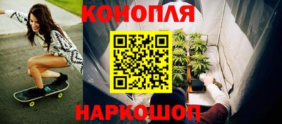 шишки Конаково