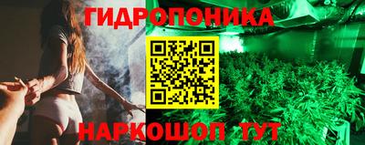 шишки Конаково