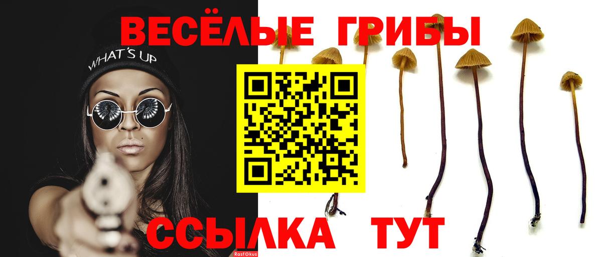 Псилоцибиновые грибы Psilocybine cubensis Кириши